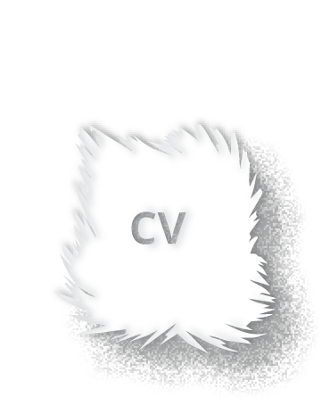 CV de Florent Testa (PDF)